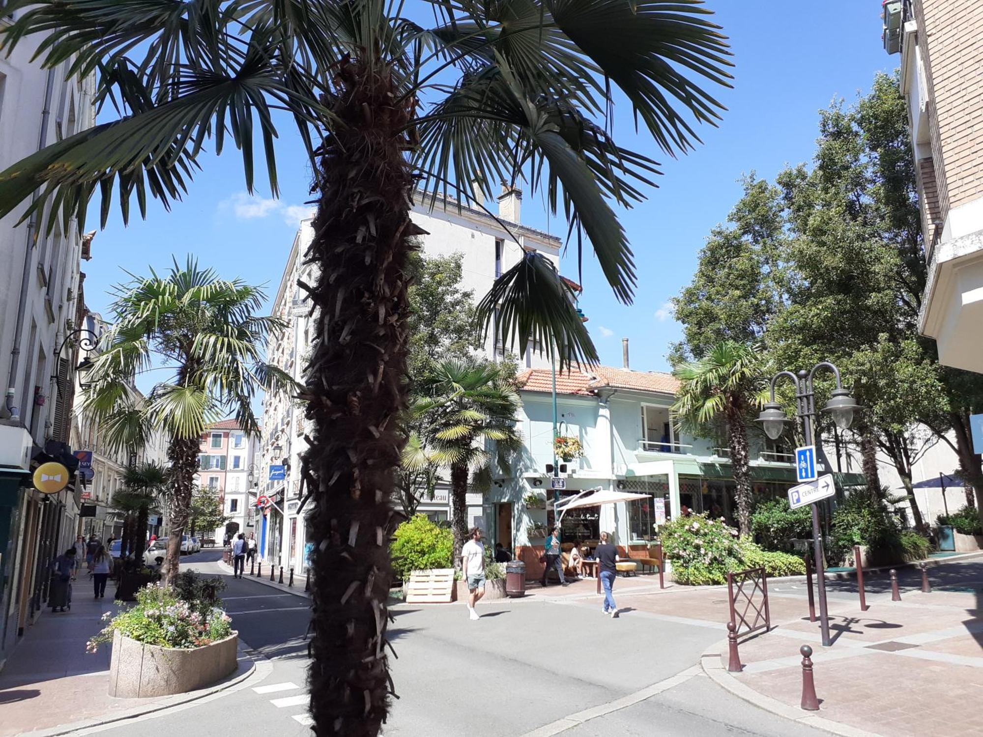 Maison Individuelle Avec Terrasse Nogent Sur Marne Esterno foto
